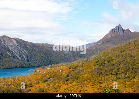 Lago di colomba e cradle mountain in cradle mountain lake st clair national wilderness park,Tasmania, Australia Foto Stock