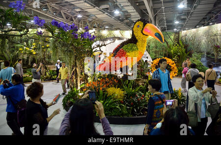 Il Taipei Taiwan. 2° Nov, 2014. Un design floreale con un gigante toucan è visto al 2014 Taipei International Flower Design Award in Taipei, a sud-est della Cina di Taiwan, nov. 2, 2014. © Wang Qingqin/Xinhua/Alamy Live News Foto Stock