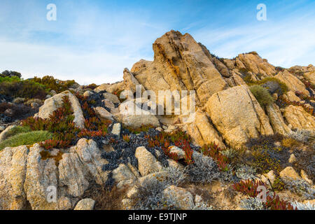 Formazione di roccia nella luce della sera a Capu di Portu Vecchiu, Corsica Foto Stock