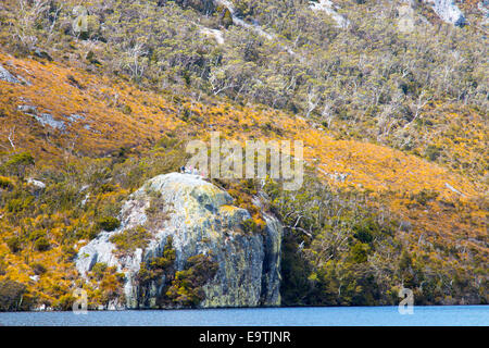 Gli escursionisti gli escursionisti si fermò sulla roccia del ghiacciaio al lago colomba per visualizzare cradle mountain,cradle mountain lake st clair national park,Tasmania Foto Stock