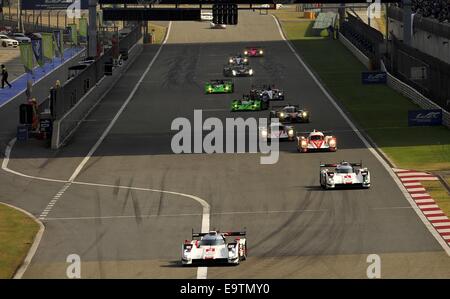 Shanghai, Cina. 2° Nov, 2014. FIA World Endurance Championship 1-2 terminare a Shanghai a Shanghai International Circuit. Credito: Marcio Machado/ZUMA filo/Alamy Live News Foto Stock