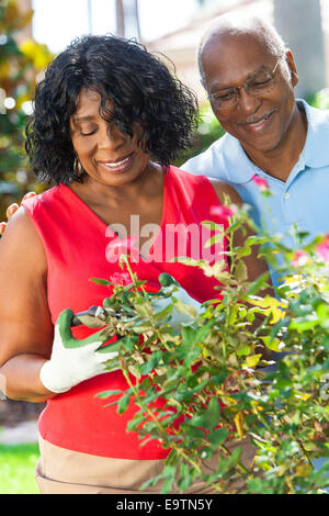 Felice senior African American uomo donna giovane nei loro anni sessanta al di fuori di giardinaggio in giardino taglio sorridente rose fiori piante Foto Stock