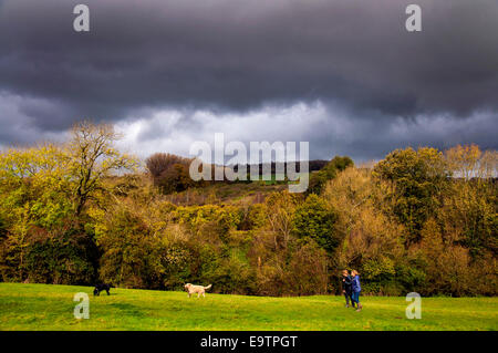 Bathford, Somerset, Regno Unito. 02Nov, 2014. Dog walkers prendere il sole come aria di tempesta. Credito: Richard Wayman/Alamy Live News Foto Stock