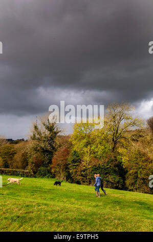 Bathford, Somerset, Regno Unito. 02Nov, 2014. Dog walkers prendere il sole come aria di tempesta. Credito: Richard Wayman/Alamy Live News Foto Stock