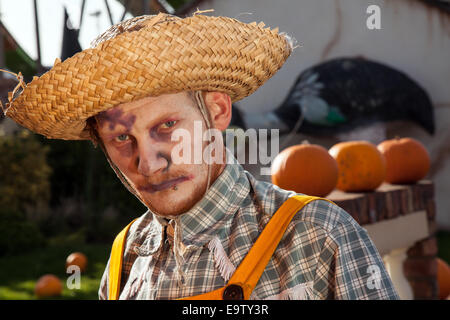 Southport, Merseyside, Regno Unito. 2 Novembre, 2014. Happy Halloween Pleasureland. L'ultimo giorno di apertura per la stagione 2014 ha visto una miriade di personaggi saluto ai visitatori. Un giorno dedicato alle cose divertenti, Fancy Dress, zucche e qualche strano scarecrows umana. Foto Stock