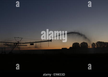 Sprinkler irrigazione all'alba, Idaho Foto Stock