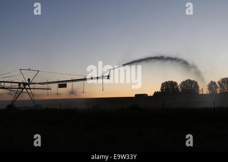 Sprinkler irrigazione all'alba, Idaho Foto Stock