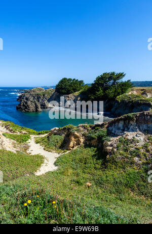 Costa in Mendocino, Mendocino County, California del Nord, STATI UNITI D'AMERICA Foto Stock