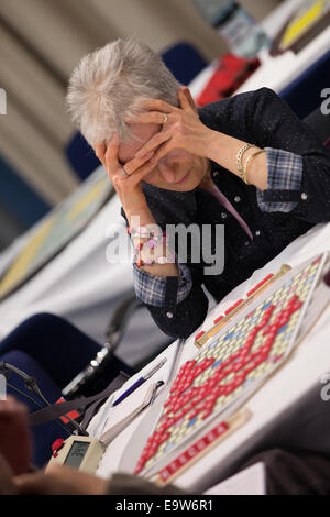 Holiday Inn Milton Keynes, Regno Unito. 2° Nov, 2014.Il ABSP Nazionale campionato di Scrabble ha avuto luogo nel fine settimana del 1 e 2 novembre. Il campionato era costituito da 17 manche disputate nel corso del fine settimana. I giocatori provenienti da tutto il Regno Unito ha viaggiato per competere con la concorrenza. Credito: Chris Yates/Alamy Live News Foto Stock