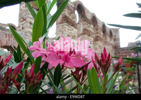 La Chiesa di Santa Sofia in Bulgaria Nesebar. Foto Stock