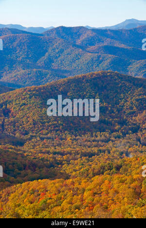 Colore di autunno da Blue Ridge Parkway si affacciano nel sud Appalchians vicino a Asheville, North Carolina. Foto Stock