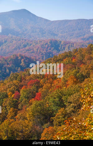 Parco Nazionale di Great Smoky Mountains vicino al piccolo fiume strada in autunno. Foto Stock
