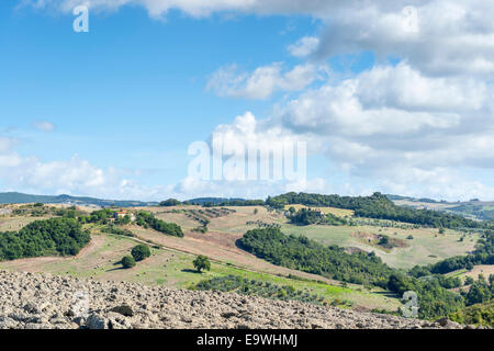 Immagine vicino a Pienza con un bellissimo paesaggio in Toscana, Italia Foto Stock