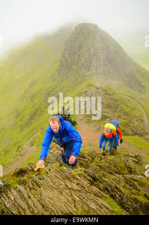 Walkers Helvellyn arrampicata dal bordo di estensione nel distretto del Lago Foto Stock