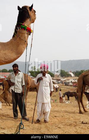 Camel herders portare loro livestocks presso l' annuale Fiera del Bestiame', a Pushkar, nella parte occidentale dello stato indiano del Rajasthan. © Ravi Prakash/Pacific Press/Alamy Live News Foto Stock