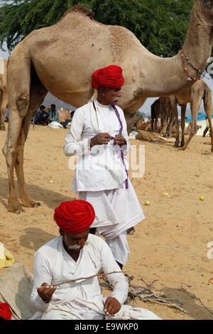 Camel herders portare loro livestocks presso l' annuale Fiera del Bestiame', a Pushkar, nella parte occidentale dello stato indiano del Rajasthan. © Ravi Prakash/Pacific Press/Alamy Live News Foto Stock