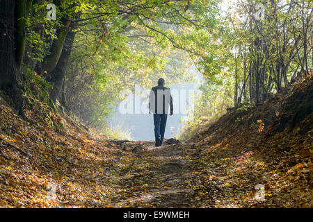 Un uomo a piedi lungo un sentiero di bosco in autunno Foto Stock