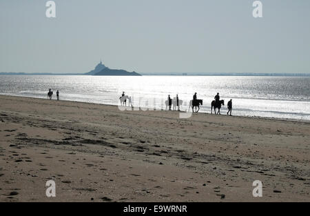 Piloti del cavallino a mont st michel bay, Normandia, Francia Foto Stock