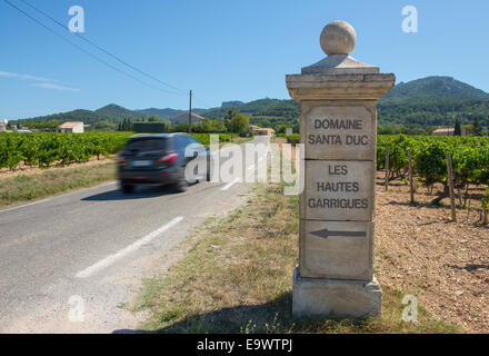 Domaine Santa Duc vigna segno a Gigondas nella Vaucluse, una vigna provenzale dall'epoca gallo-romana. Foto Stock