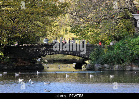 Stone O'Connell Bridge in St Stephens Green a Dublino, Irlanda Foto Stock