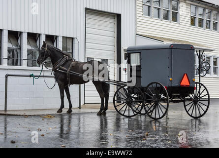 Cavallo Amish e buggy, Lancaster County, Pennsylvania, STATI UNITI D'AMERICA Foto Stock