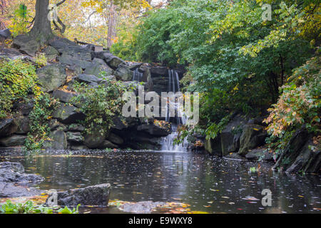 Acqua versa sopra la cascata Glenspan nei boschi di nord sezione del Central Park di New York Foto Stock