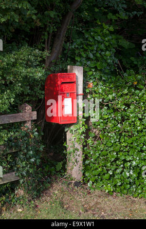 Tradizionale in rosso post box attaccato al posto di legno tra siepe verde Foto Stock