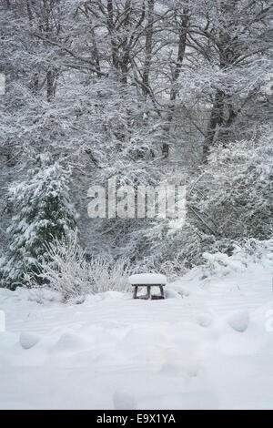 La neve cade su un tavolo in legno in una radura del bosco. Foto Stock