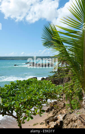 Dominikanische Republik, Osteno, Boca de Yuma, Foto Stock