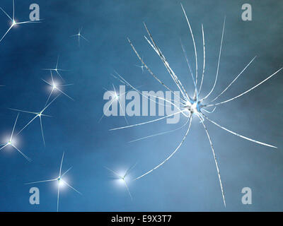 I neuroni visto sotto il microscopio Foto Stock