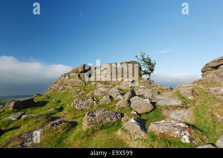 Ore del sorgere e lone Albero di biancospino su Sharp Tor. Parco Nazionale di Dartmoor. Devon, Regno Unito. Foto Stock