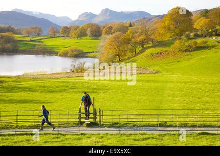 I turisti a scavalcare uno stile al fianco di un sentiero a Loughrigg Tarn, nel distretto del lago, Cumbria, Inghilterra, Regno Unito. Foto Stock