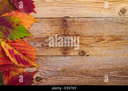 Autunno foglie di acero su un vecchio sfondo di legno con spazio di copia Foto Stock