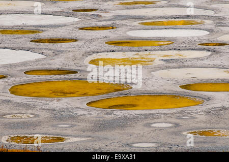 Macchiato il lago, vicino Osoyoos, British Columbia, Canada Foto Stock