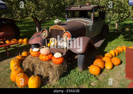 Vecchio arrugginito jalopy e display di zucca, Parson's frutta stand, Keremeos, Similkameen Regione, British Columbia, Canada Foto Stock