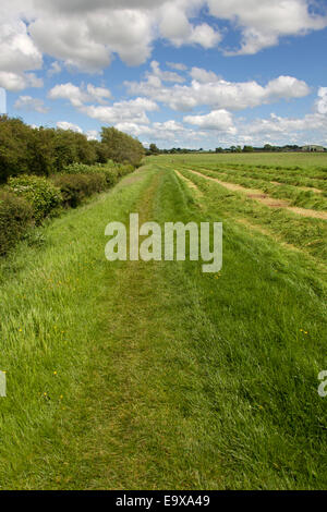 Vista pittoresca del Vallo di Adriano percorso sul Carlisle a Walton stretch (nelle vicinanze del Carlisle Airport) del percorso. Foto Stock