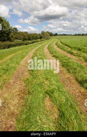 Vista pittoresca del Vallo di Adriano percorso sul Carlisle a Walton stretch (nelle vicinanze del Carlisle Airport) del percorso. Foto Stock