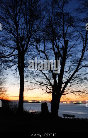 Scena notturna del centro cittadino di Vancouver a Stanley Park Foto Stock