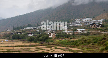 Campi agricoli con città in background, Paro Valley, Paro distretto, Bhutan Foto Stock