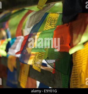 Close-up di bandiere di preghiera soffiando nel vento in un monastero di Tango, Thimphu Bhutan Foto Stock
