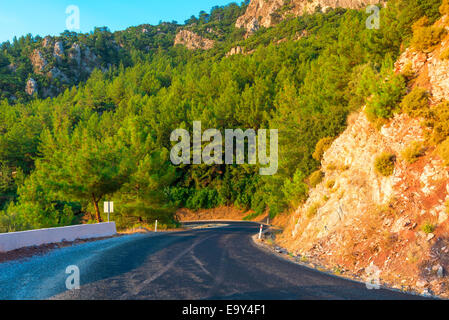mountains covered with pine trees and mountain road Foto Stock