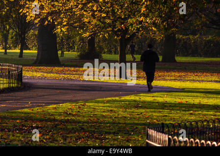 Regent's Park, Londra, 4 novembre 2014. Un runner fa il suo modo attraverso Regents Park come il sole autunnale saluta i londinesi. Foto Stock