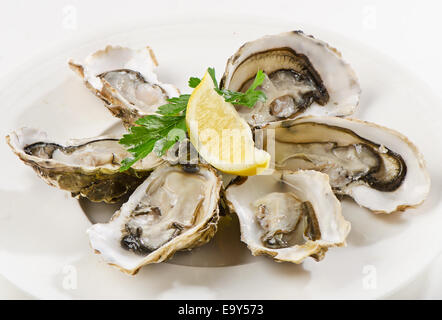 Fresche ostriche aperto su una piastra bianca. Messa a fuoco selettiva Foto Stock