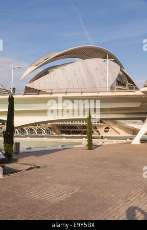 Il Palacio de las Artes Reina Sofia,auditorium nella Città delle arti e delle Scienze di Valencia, Spagna. Foto Stock