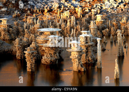 Yanhua Golmud nella Provincia di Qinghai Foto Stock