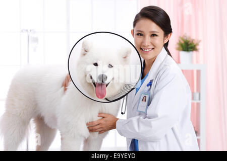 Giovani donne veterinario con un cane Foto Stock