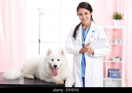 Giovani donne veterinario con un cane Foto Stock