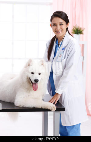 Giovani donne veterinario con un cane Foto Stock