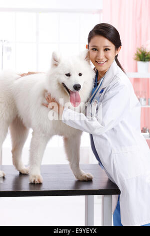 Giovani donne veterinario con un cane Foto Stock