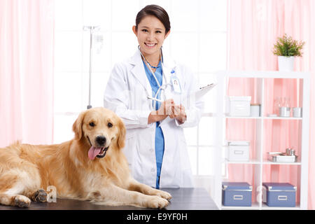 Giovani donne veterinario con un cane Foto Stock